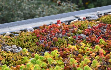 the cost of Llandilo green roof installation