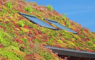 Llandilo living roof systems