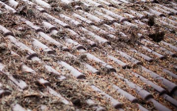 Llandilo roof cleaning companies