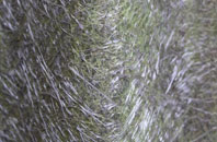 Llandilo fibreglass roof work